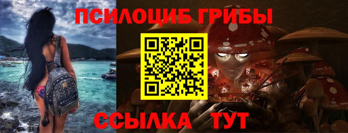 Псилоцибиновые грибы MAGIC MUSHROOMS  Вход с VPN  Гатчина 